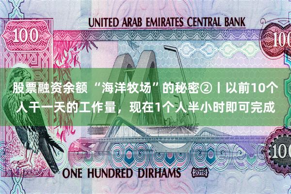 股票融资余额 “海洋牧场”的秘密②丨以前10个人干一天的工作量，现在1个人半小时即可完成