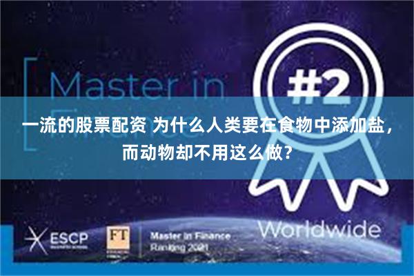 一流的股票配资 为什么人类要在食物中添加盐，而动物却不用这么做？