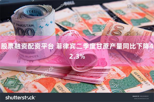 股票融资配资平台 菲律宾二季度甘蔗产量同比下降42.3%