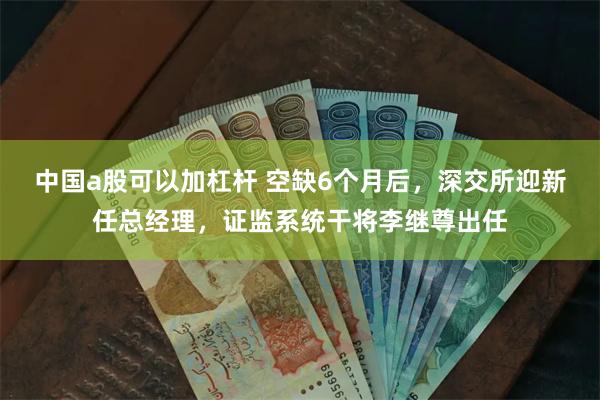中国a股可以加杠杆 空缺6个月后，深交所迎新任总经理，证监系统干将李继尊出任