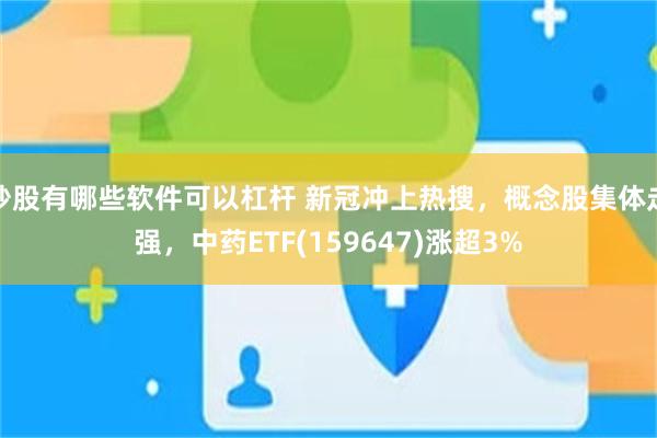 炒股有哪些软件可以杠杆 新冠冲上热搜，概念股集体走强，中药ETF(159647)涨超3%