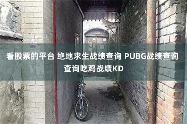 看股票的平台 绝地求生战绩查询 PUBG战绩查询 查询吃鸡战绩KD