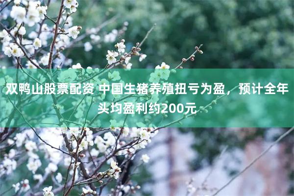 双鸭山股票配资 中国生猪养殖扭亏为盈，预计全年头均盈利约200元
