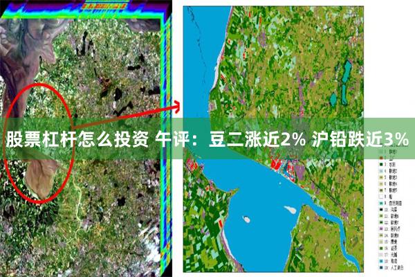 股票杠杆怎么投资 午评：豆二涨近2% 沪铅跌近3%