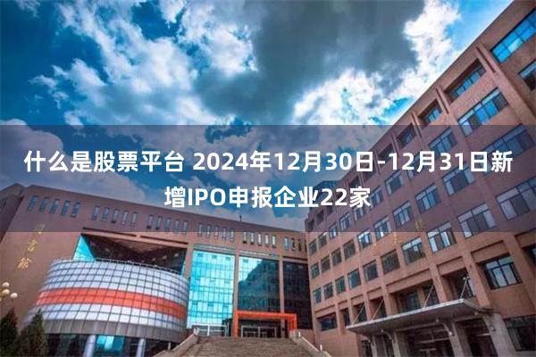 什么是股票平台 2024年12月30日-12月31日新增IPO申报企业22家