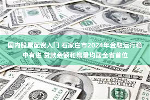 国内股票配资入门 石家庄市2024年金融运行稳中有进 贷款余额和增量均居全省首位