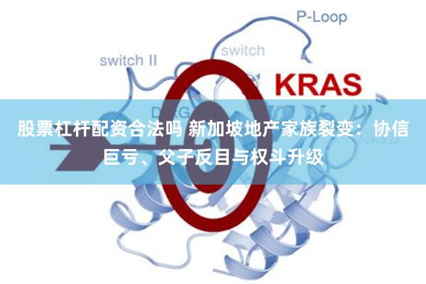 股票杠杆配资合法吗 新加坡地产家族裂变：协信巨亏、父子反目与权斗升级