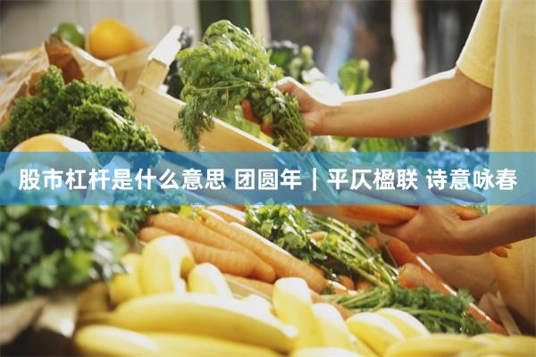 股市杠杆是什么意思 团圆年｜平仄楹联 诗意咏春