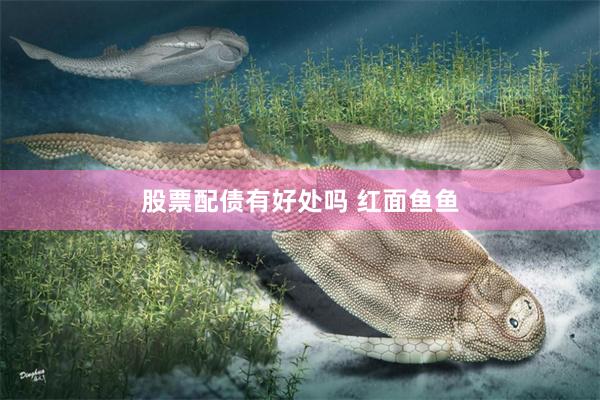股票配债有好处吗 红面鱼鱼