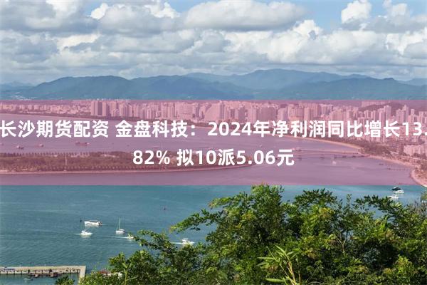 长沙期货配资 金盘科技：2024年净利润同比增长13.82% 拟10派5.06元