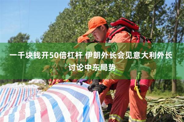 一千块钱开50倍杠杆 伊朗外长会见意大利外长 讨论中东局势