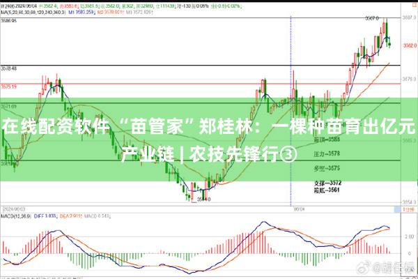 在线配资软件 “苗管家”郑桂林：一棵种苗育出亿元产业链 | 农技先锋行③
