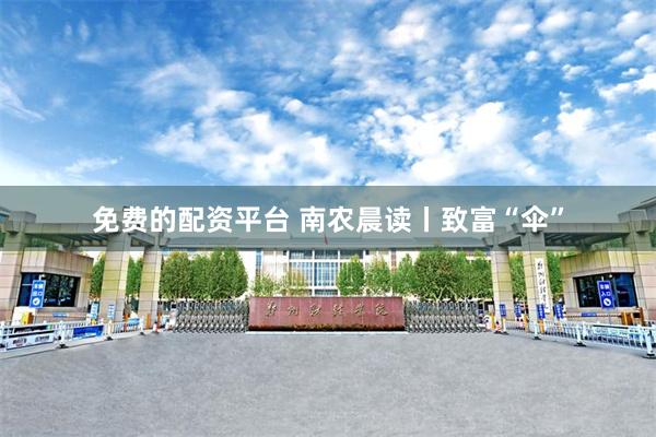 免费的配资平台 南农晨读丨致富“伞”