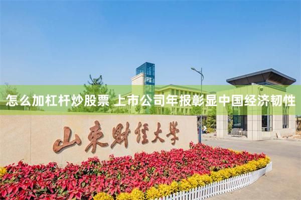怎么加杠杆炒股票 上市公司年报彰显中国经济韧性