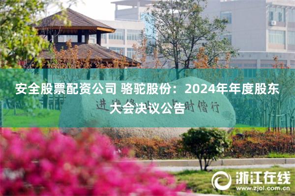 安全股票配资公司 骆驼股份：2024年年度股东大会决议公告