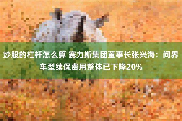 炒股的杠杆怎么算 赛力斯集团董事长张兴海：问界车型续保费用整体已下降20%