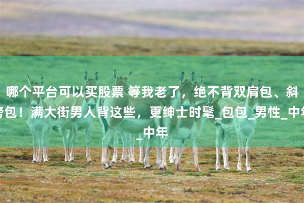哪个平台可以买股票 等我老了，绝不背双肩包、斜挎包！满大街男人背这些，更绅士时髦_包包_男性_中年