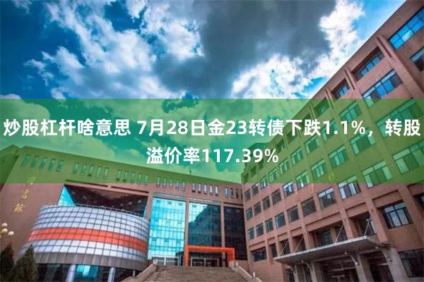 炒股杠杆啥意思 7月28日金23转债下跌1.1%，转股溢价率117.39%