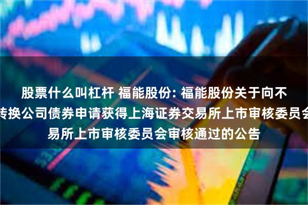 股票什么叫杠杆 福能股份: 福能股份关于向不特定对象发行可转换公司债券申请获得上海证券交易所上市审核委员会审核通过的公告