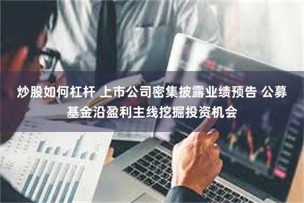 炒股如何杠杆 上市公司密集披露业绩预告 公募基金沿盈利主线挖掘投资机会