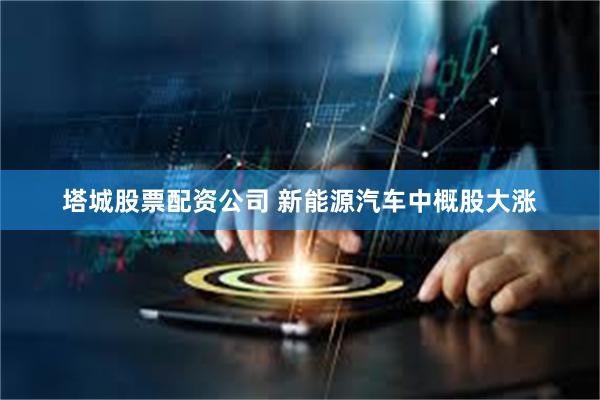 塔城股票配资公司 新能源汽车中概股大涨