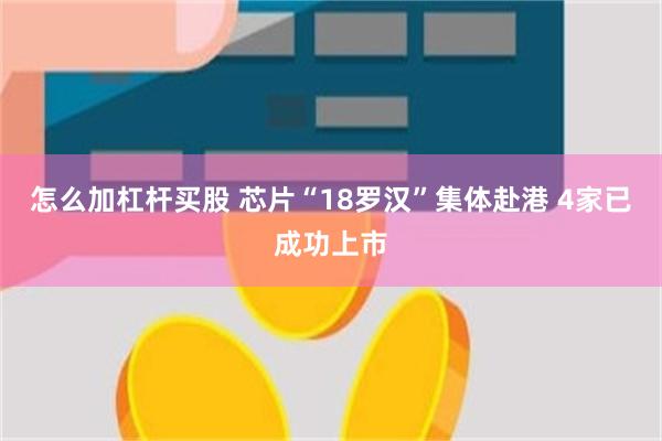 怎么加杠杆买股 芯片“18罗汉”集体赴港 4家已成功上市