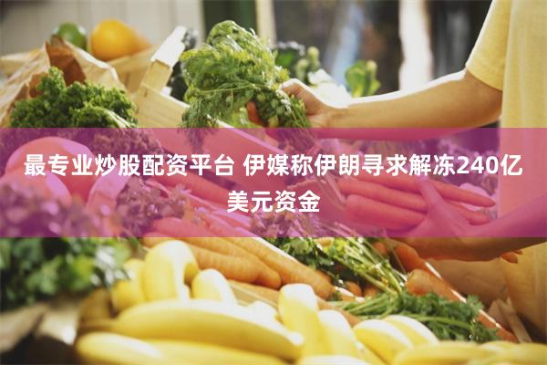 最专业炒股配资平台 伊媒称伊朗寻求解冻240亿美元资金