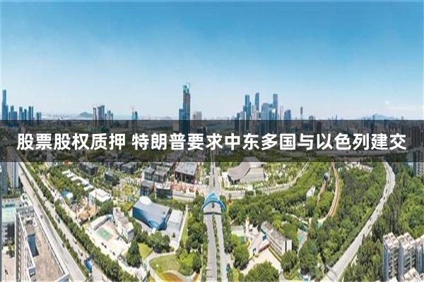 股票股权质押 特朗普要求中东多国与以色列建交