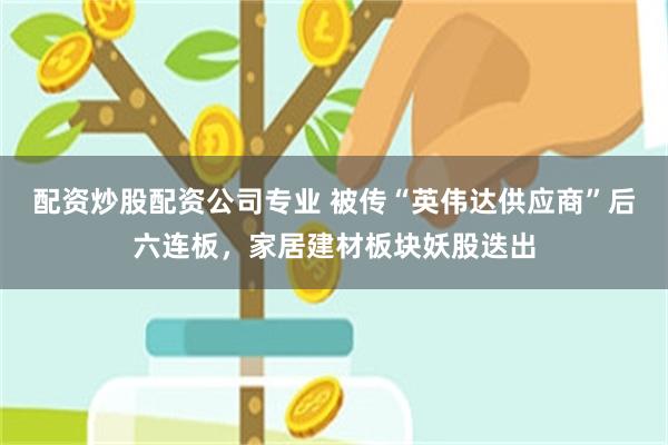 配资炒股配资公司专业 被传“英伟达供应商”后六连板，家居建材板块妖股迭出