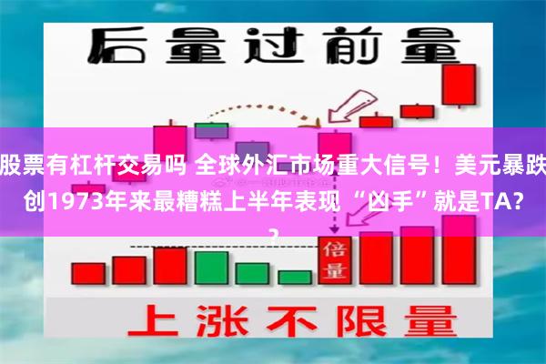 股票有杠杆交易吗 全球外汇市场重大信号！美元暴跌创1973年来最糟糕上半年表现 “凶手”就是TA？