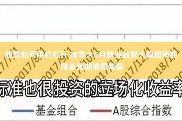股票如何用杠杠杆 加拿大5月就业数据大幅超预期 降息预期明显降温