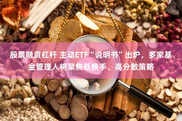股票融资杠杆 主动ETF“说明书”出炉,多家基金管理人将聚焦低换手、高分散策略