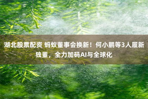 湖北股票配资 蚂蚁董事会换新!何小鹏等3人履新独董,全力加码AI与全球化