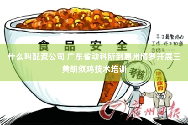 什么叫配资公司 广东省动科所到惠州博罗开展三黄胡须鸡技术培训