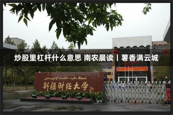 炒股里杠杆什么意思 南农晨读丨薯香满云城