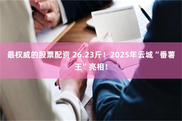 最权威的股票配资 26.23斤！2025年云城“番薯王”亮相！