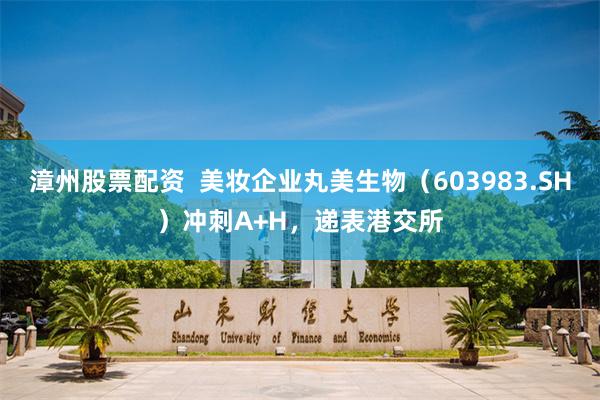 漳州股票配资  美妆企业丸美生物（603983.SH）冲刺A+H，递表港交所