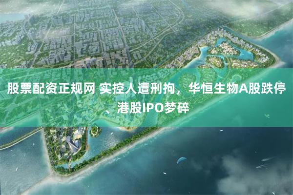 股票配资正规网 实控人遭刑拘，华恒生物A股跌停、港股IPO梦碎