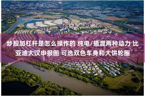 炒股加杠杆是怎么操作的 纯电/插混两种动力 比亚迪大汉申报图 可选双色车身和大饼轮圈