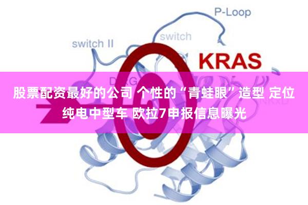 股票配资最好的公司 个性的“青蛙眼”造型 定位纯电中型车 欧拉7申报信息曝光