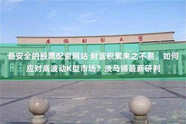 最安全的股票配资网站 财富积累来之不易，如何应对高波动K型市场？淡马锡最新研判