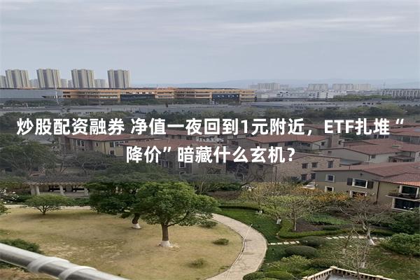 炒股配资融券 净值一夜回到1元附近，ETF扎堆“降价”暗藏什么玄机？