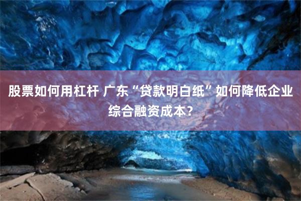 股票如何用杠杆 广东“贷款明白纸”如何降低企业综合融资成本?