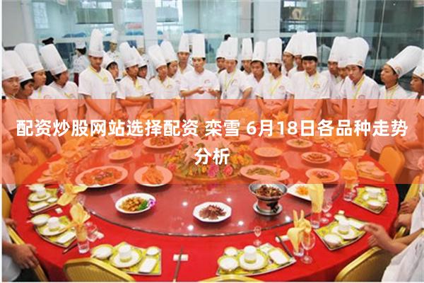 配资炒股网站选择配资 栾雪 6月18日各品种走势分析