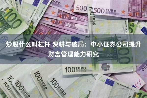 炒股什么叫杠杆 深耕与破局:中小证券公司提升财富管理能力研究