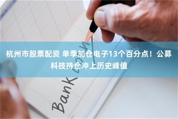 杭州市股票配资 单季加仓电子13个百分点！公募科技持仓冲上历史峰值