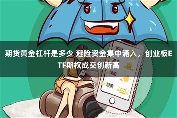 期货黄金杠杆是多少 避险资金集中涌入,创业板ETF期权成交创新高