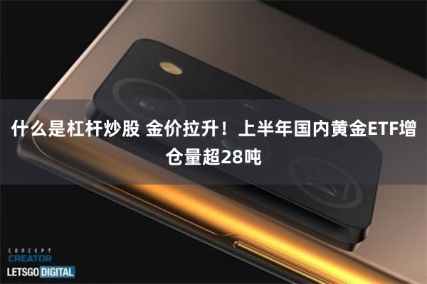 什么是杠杆炒股 金价拉升!上半年国内黄金ETF增仓量超28吨