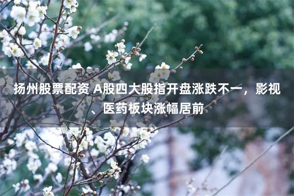 扬州股票配资 A股四大股指开盘涨跌不一，影视、医药板块涨幅居前