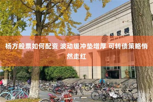 杨方股票如何配资 波动缓冲垫增厚 可转债策略悄然走红